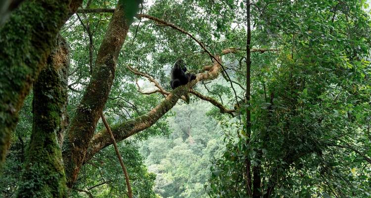 Into The Wilderness - Tourilla Tours 2