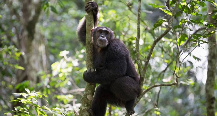 Into The Wilderness - Tourilla Tours 6