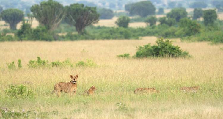 Into The Wilderness - Tourilla Tours 9
