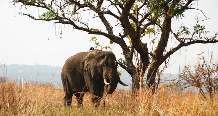 Into The Wilderness - Tourilla Tours 10