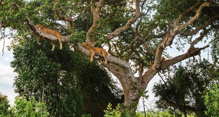 Dans la nature - Tourilla Tours 10