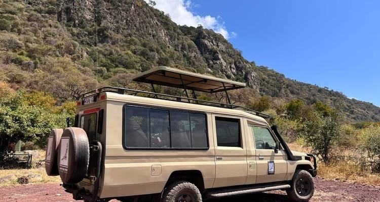 4-Day Serengeti Wildlife Safari and Ngorongoro Crater - Lappet Faced Safaris 2