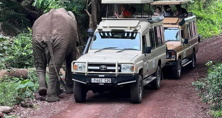4-Day Serengeti Wildlife Safari and Ngorongoro Crater - Lappet Faced Safaris 3