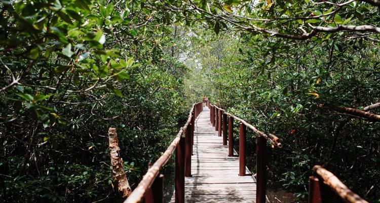Bohol Insider - Une aventure de 2 jours - Abraham Tours Philippines 3