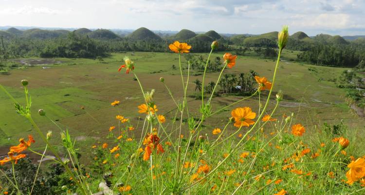 Bohol Insider - Une aventure de 2 jours - Abraham Tours Philippines 8