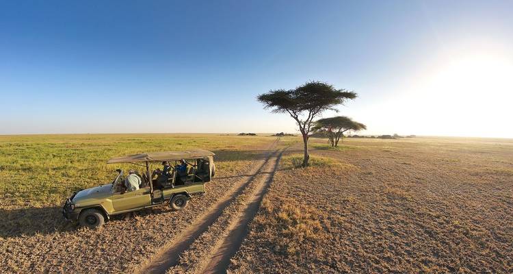 Safari-Fahrzeug unter klarem Himmel in der Savanne.