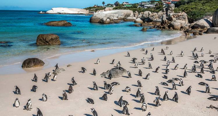 Ciudad del Cabo y Kruger - 9 días - On The Go Tours 3