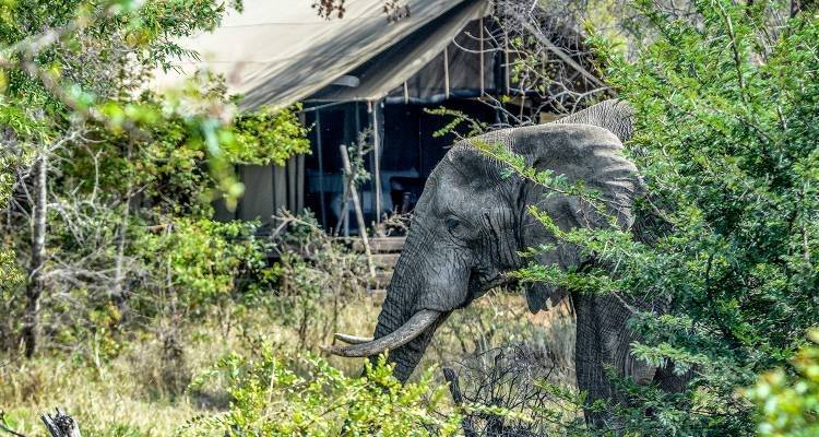 Ciudad del Cabo y Kruger - 9 días - On The Go Tours 6