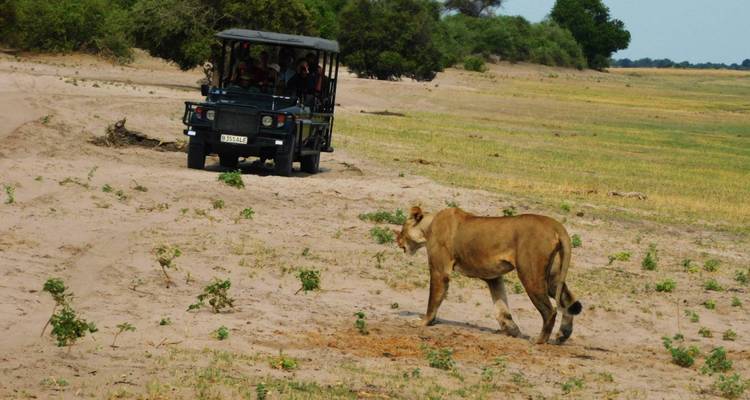 Cape, Delta & Falls (Accommodated) - 19 days - On The Go Tours 6
