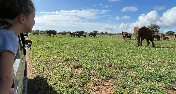 5 días - Serengeti y cráter del Ngorongoro - Lappet Faced Safaris 3