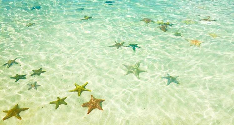 Découvrez le Zanzibar magique ; les plages de Nungwi - Zote Tours 4