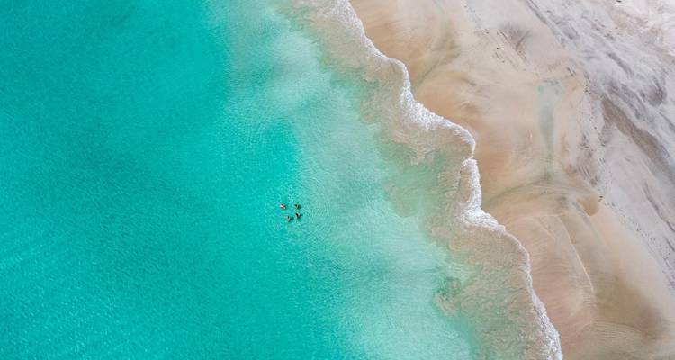 Circuit d'aventure de 3 jours sur l'île de Kangourou - Untamed Escapes 4