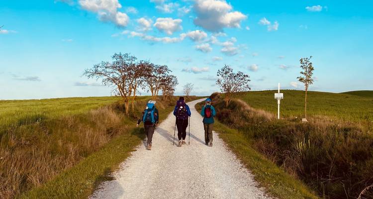 Camino de Santiago (Francés) Guided *TREK* (All Inclusive) - Climbing Mountains 4