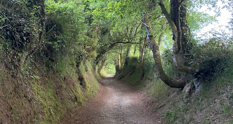 Camino de Santiago (Francés) Guided *TREK* (All Inclusive) - Climbing Mountains 7