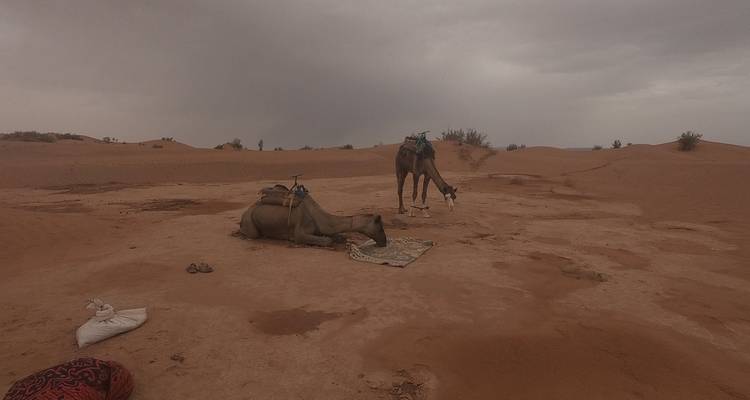 8 jours de Trek chamelière dans le désert du Maroc - Trek Desert Maroc  3
