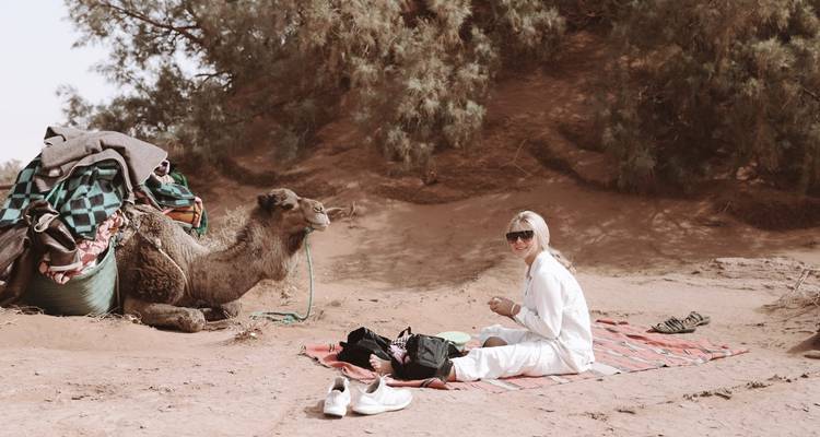 Una persona sentada con un camello en un entorno desértico.