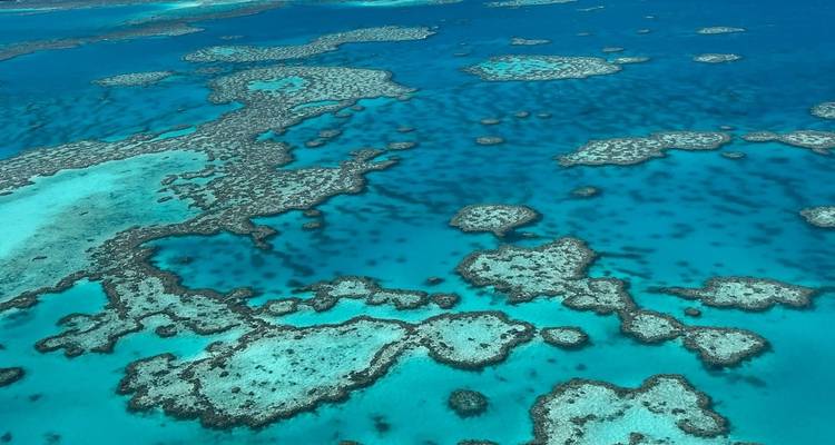 East Coast Reefs and Beaches 15 Day Group Tour | ULTIMATE - Ultimate Travel 7