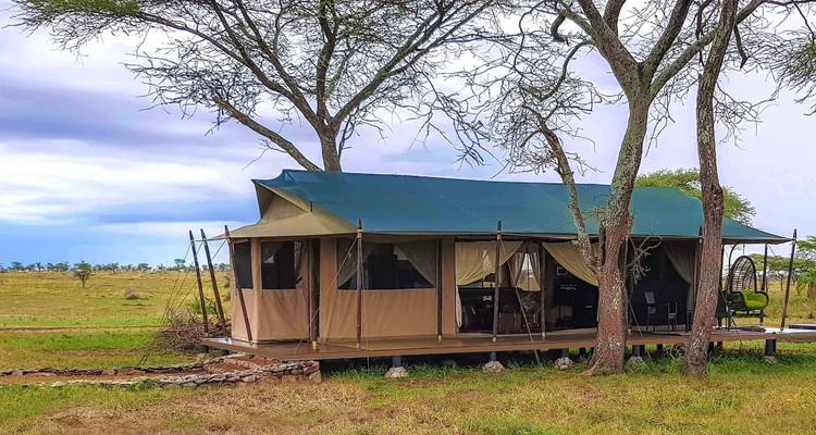 Safari de 4 jours en Tanzanie - Arusha + Cratère du Ngorongoro + Serengeti - Viola tours & travel 4