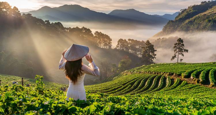 Tout le Vietnam : Hanoi, Sapa et la baie d'Halong - Wanderful Holidays LLC 3