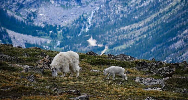 Gems of the Yukon | Hiking Tour with Hotel Stays - Fresh Adventures 3