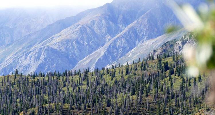 Gems of the Yukon | Hiking Tour with Hotel Stays - Fresh Adventures 4