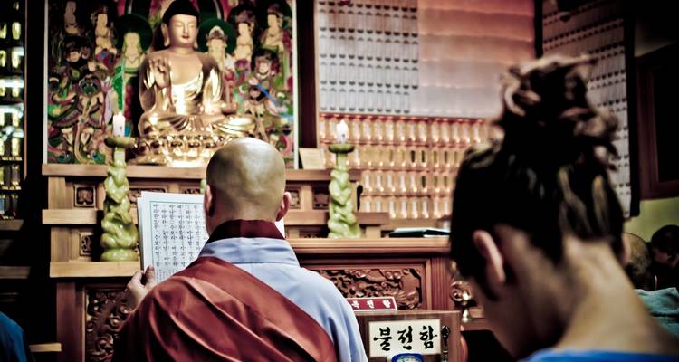 Korea Family Adventure: 9 Days of Unforgettable Memories - The Dragon Trip 4