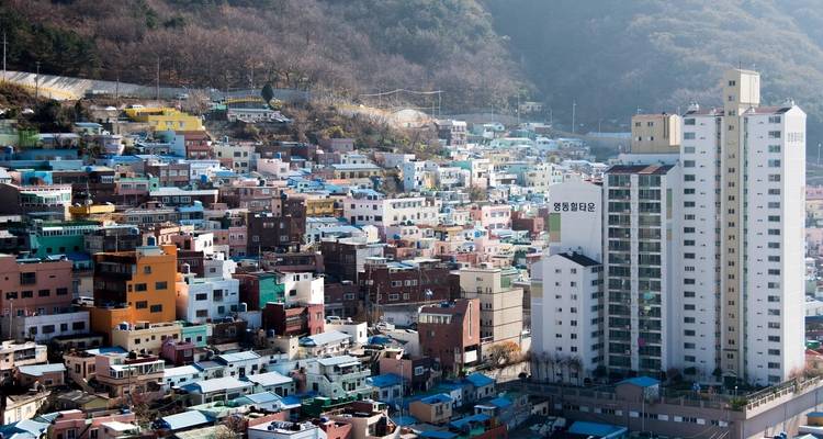 Korea Family Adventure: 9 Days of Unforgettable Memories - The Dragon Trip 8