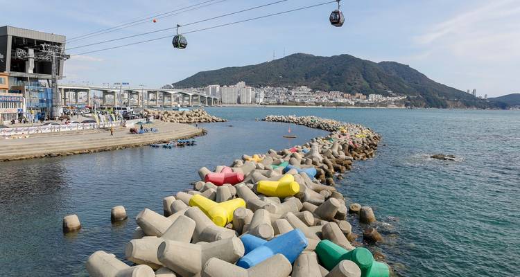 Korea Family Adventure: 9 Days of Unforgettable Memories - The Dragon Trip 1