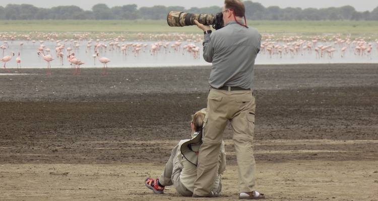 Photographer taking pictures of flamingos