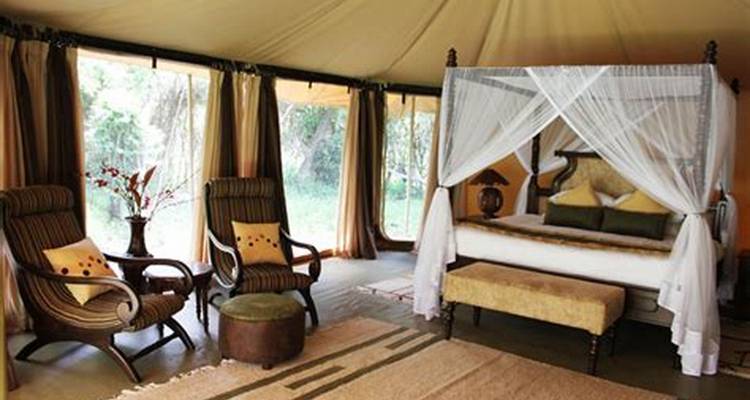 14-Day Victoria Falls, Kruger, Cape Town & Winelands - Little Roz Tours 7
