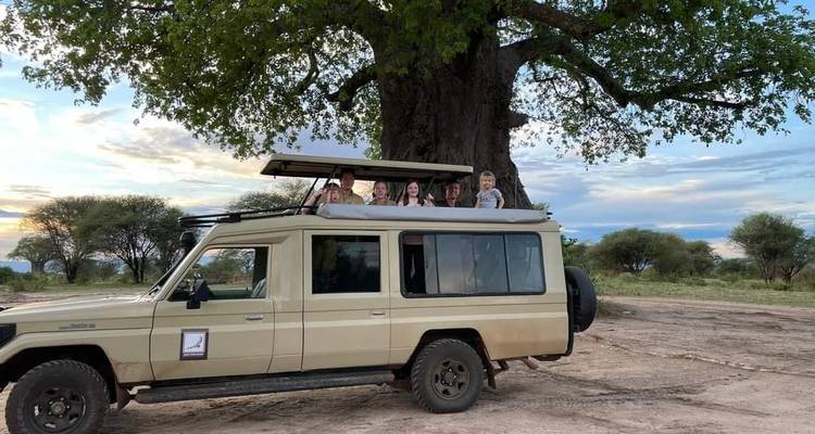 Gruppe von Menschen auf einem Safari-Fahrzeug bei einem Baobab-Baum