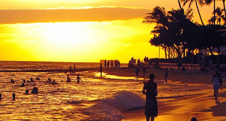 Coucher de soleil doré sur une plage hawaïenne bordée de palmiers où les baigneurs et les promeneurs profitent d'une mer chaude.