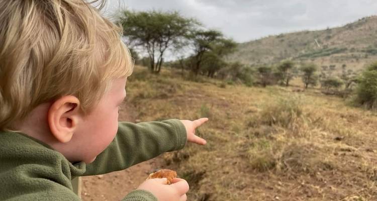 9 días - migración al Serengeti norte - lago Manyara, Serengeti, cráter del Ngorongoro y Tarangire - Lappet Faced Safaris 1