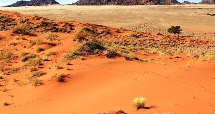 7 Días Lo mejor de of Namibia | Circuito en coche y alojamiento - Motema Tours and Safaris 4