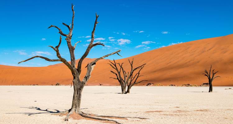 7 Días Lo mejor de of Namibia | Circuito en coche y alojamiento - Motema Tours and Safaris 6