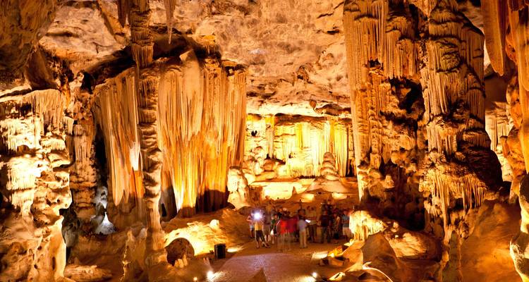 Super South Africa : Wildlife Safari, Table Mountain, Garden Route - Wanderful Holidays LLC 2