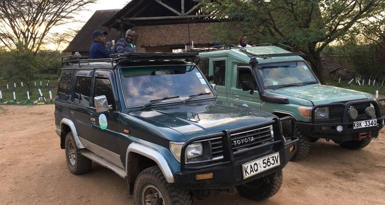 Safari voertuigen geparkeerd met mensen die eromheen verzameld zijn.