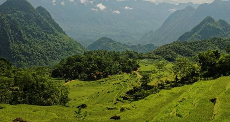 Scenic view of lush green terraced fields and mountains.