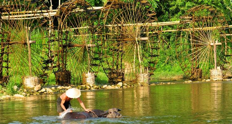 Man washing a buffalo in a river near wooden structures.