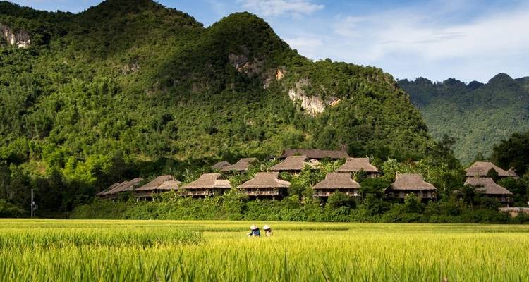Traditional houses amidst lush rice fields and mountains.