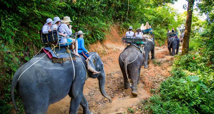 Vietnam et Cambodge : Vie sauvage et culture avec bateau rapide sur le Mékong au Cambodge - Vietnam Allure Travel 8