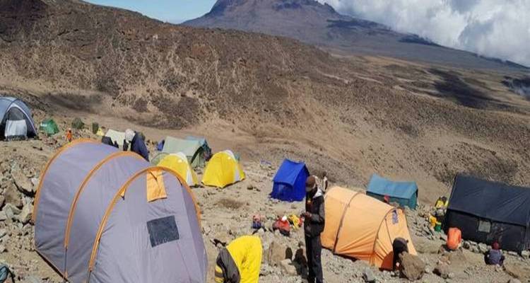 8 días de excursión al Kilimanjaro por la ruta Umbwe - Click Expeditions 4