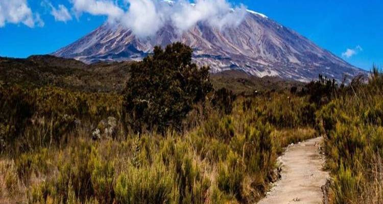 8 días de excursión al Kilimanjaro por la ruta Umbwe - Click Expeditions 3