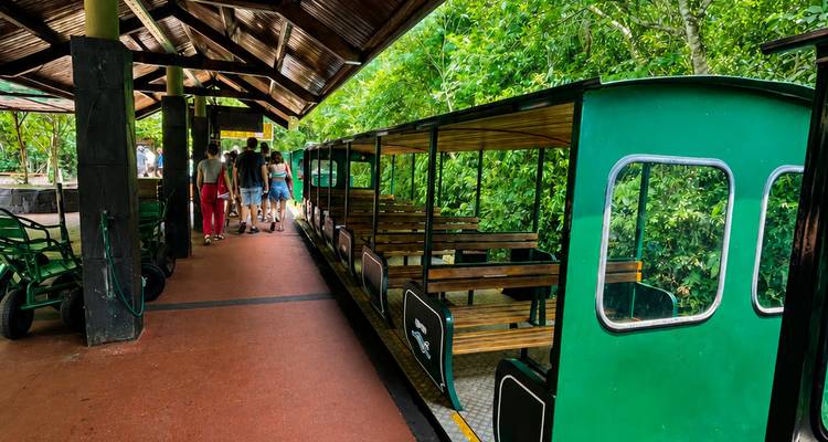 Tren del parque verde de lados abiertos esperando en una plataforma cubierta mientras los visitantes se preparan para subir rodeados de una densa vegetación de la jungla.