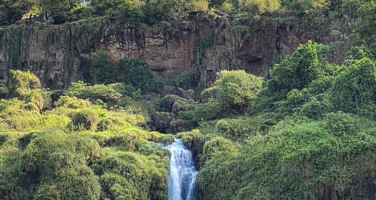 Vista cercana de una sola cascada estrecha cayendo por una selva verde y espesa con paredes de acantilados rocosos.