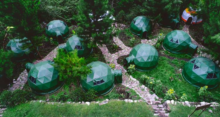 Vue aérienne de dômes verts au milieu des arbres, organisés selon un motif.