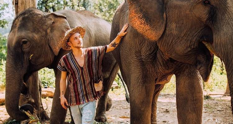 Excursion à Chiang Mai pour les éléphants, les chutes d'eau et l'aventure - privée et tout compris - ForeverVacation 7