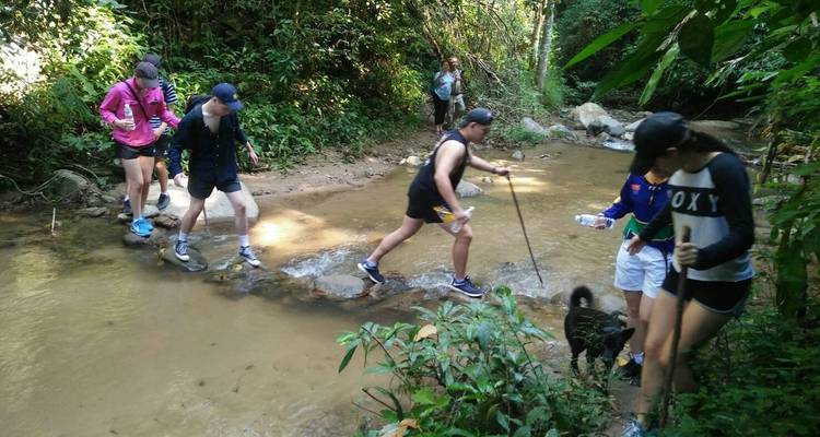Excursion à Chiang Mai pour les éléphants, les chutes d'eau et l'aventure - privée et tout compris - ForeverVacation 6