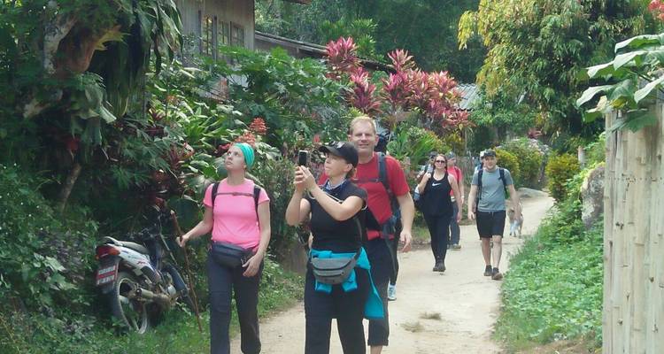 Excursion à Chiang Mai pour les éléphants, les chutes d'eau et l'aventure - privée et tout compris - ForeverVacation 8