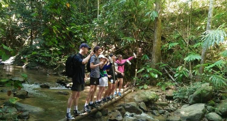 Excursion à Chiang Mai pour les éléphants, les chutes d'eau et l'aventure - privée et tout compris - ForeverVacation 10